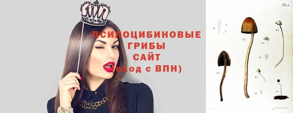 соль курить ск Арсеньев